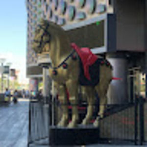 Meet your Posher, Beth